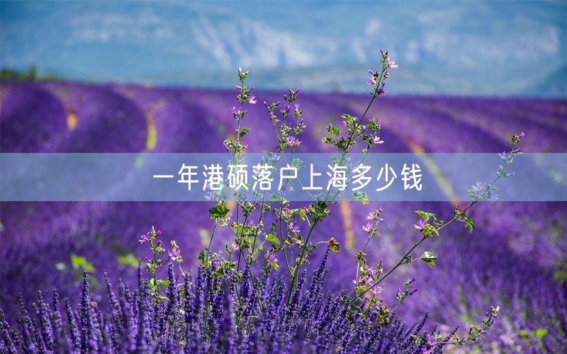 一年港硕落户上海多少钱