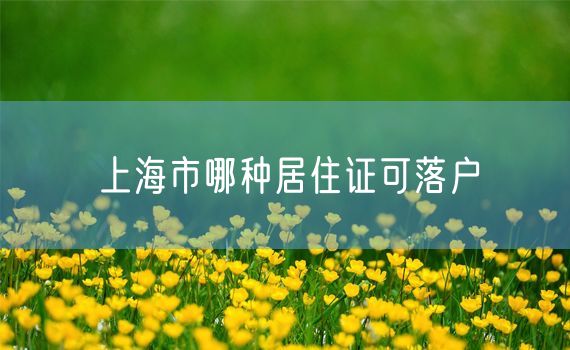 上海市哪种居住证可落户