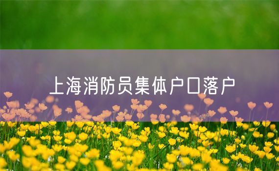 上海消防员集体户口落户