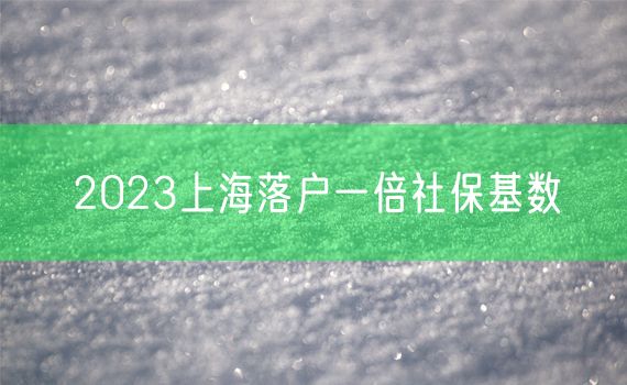 2023上海落户一倍社保基数