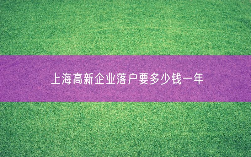 上海高新企业落户要多少钱一年