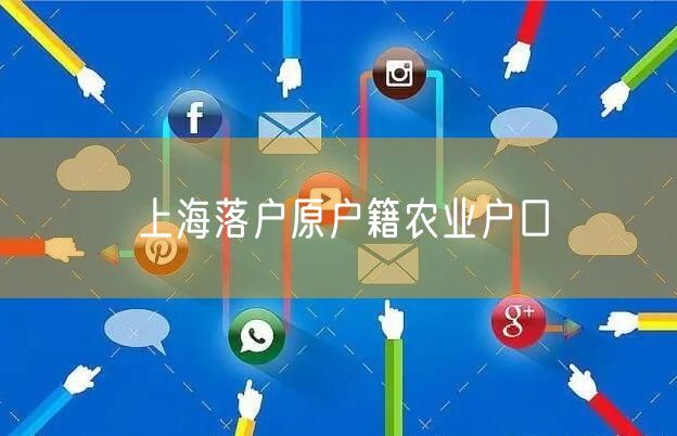 上海落户原户籍农业户口
