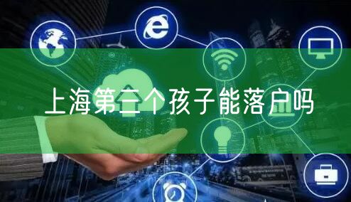 上海第三个孩子能落户吗