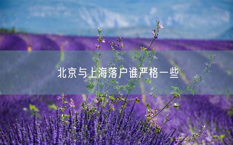 北京与上海落户谁严格一些