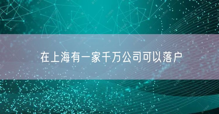在上海有一家千万公司可以落户