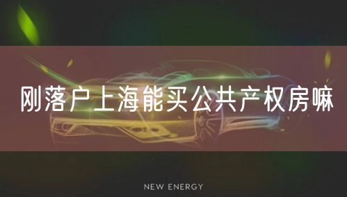 刚落户上海能买公共产权房嘛