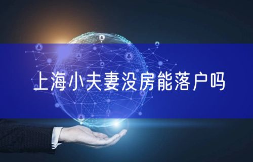 上海小夫妻没房能落户吗