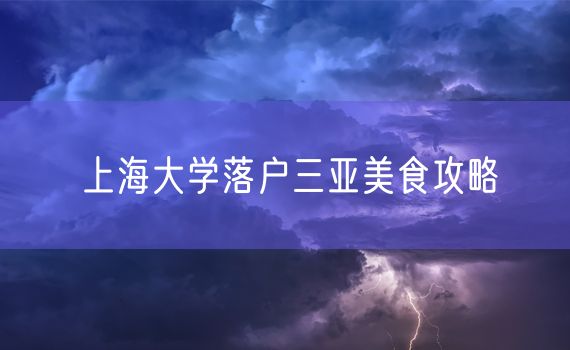 上海大学落户三亚美食攻略