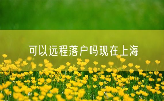 可以远程落户吗现在上海