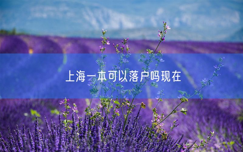 上海一本可以落户吗现在