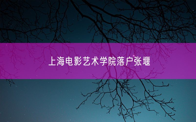 上海电影艺术学院落户张堰
