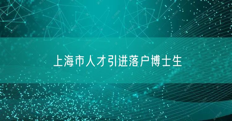 上海市人才引进落户博士生