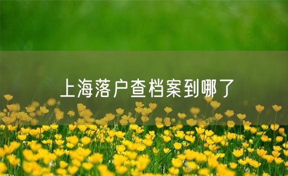 上海落户查档案到哪了
