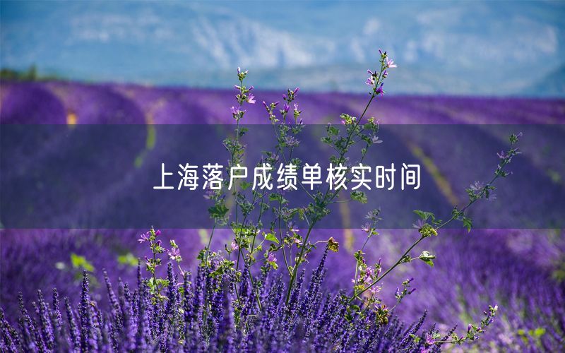 上海落户成绩单核实时间
