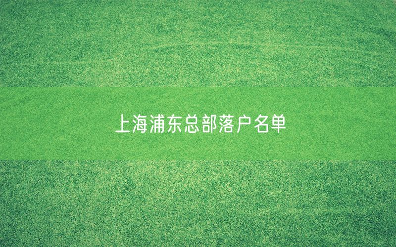 上海浦东总部落户名单