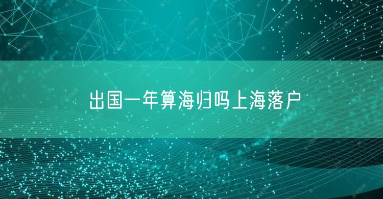 出国一年算海归吗上海落户