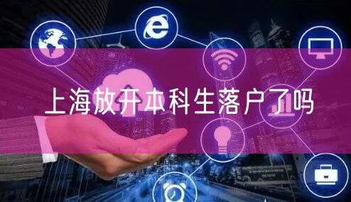 上海放开本科生落户了吗