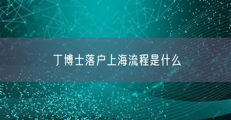 丁博士落户上海流程是什么