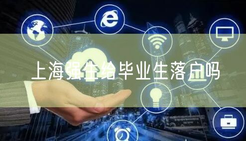 上海强生给毕业生落户吗