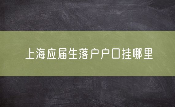 上海应届生落户户口挂哪里