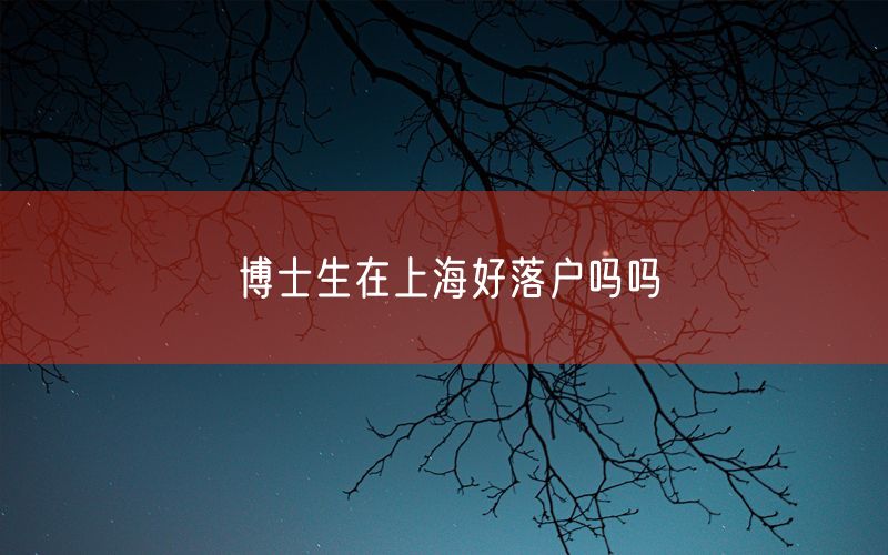 博士生在上海好落户吗吗