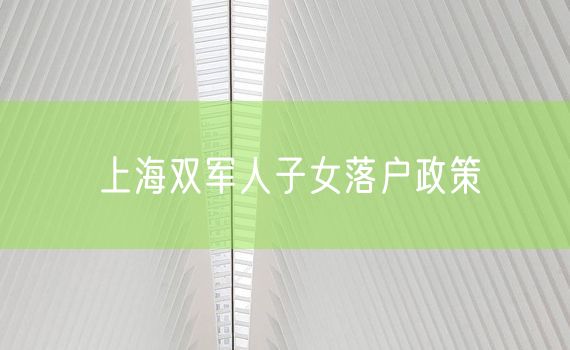 上海双军人子女落户政策