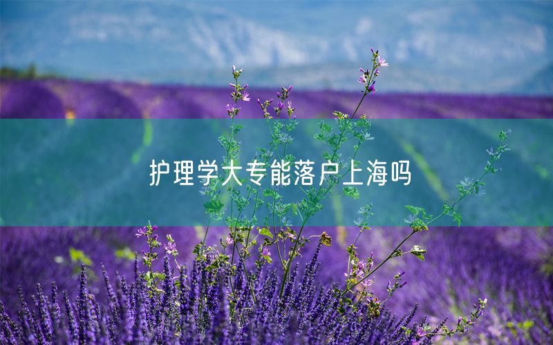 护理学大专能落户上海吗