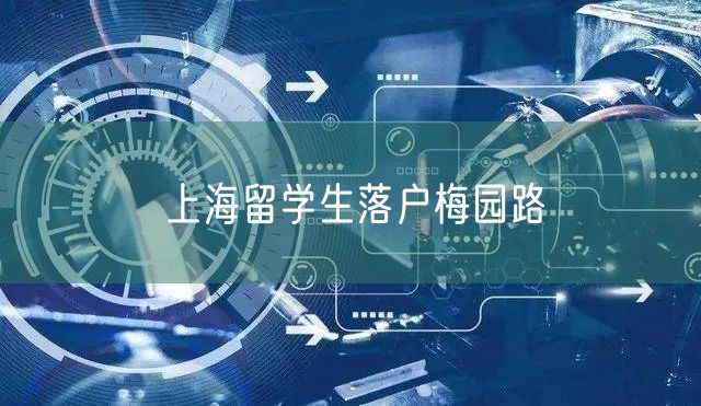 上海留学生落户梅园路
