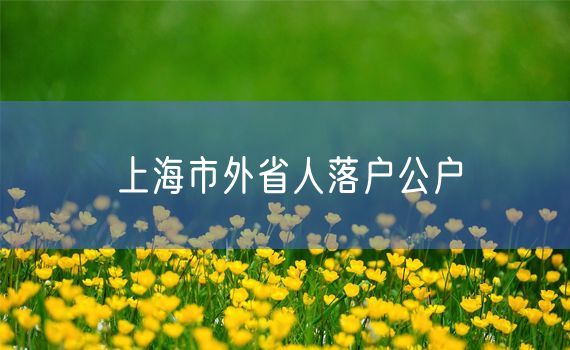 上海市外省人落户公户