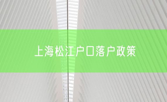 上海松江户口落户政策