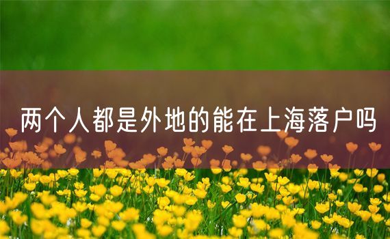 两个人都是外地的能在上海落户吗