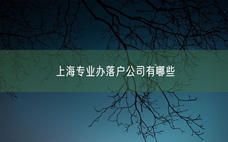 上海专业办落户公司有哪些