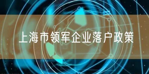 上海市领军企业落户政策