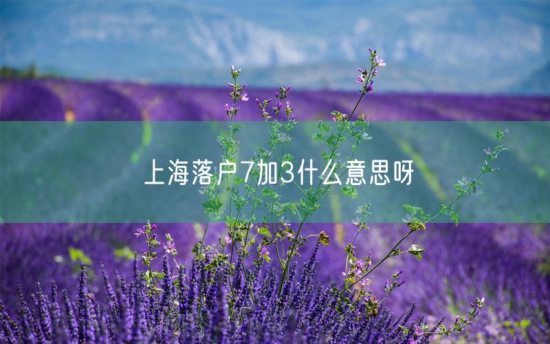 上海落户7加3什么意思呀