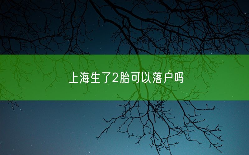 上海生了2胎可以落户吗