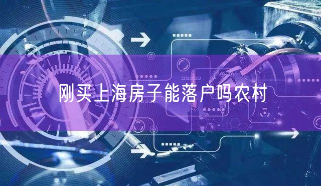 刚买上海房子能落户吗农村