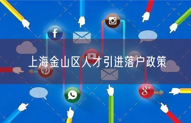上海金山区人才引进落户政策