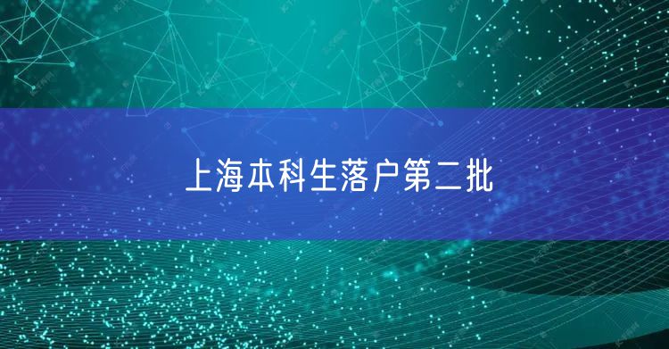 上海本科生落户第二批