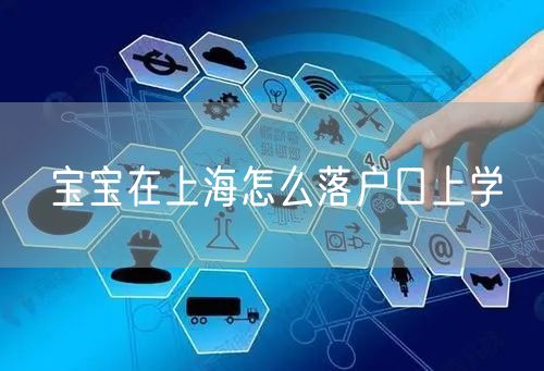 宝宝在上海怎么落户口上学
