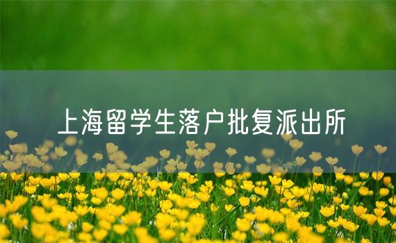 上海留学生落户批复派出所