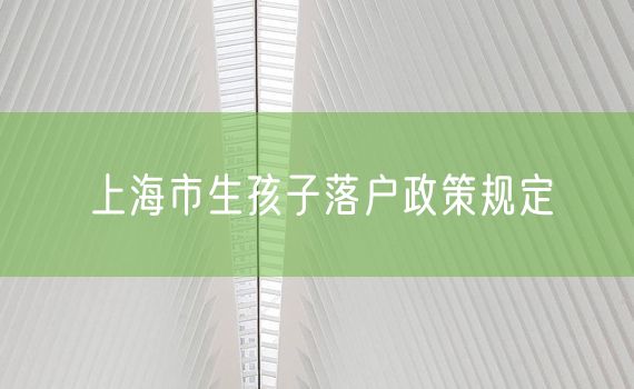 上海市生孩子落户政策规定