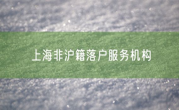 上海非沪籍落户服务机构
