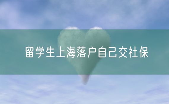 留学生上海落户自己交社保