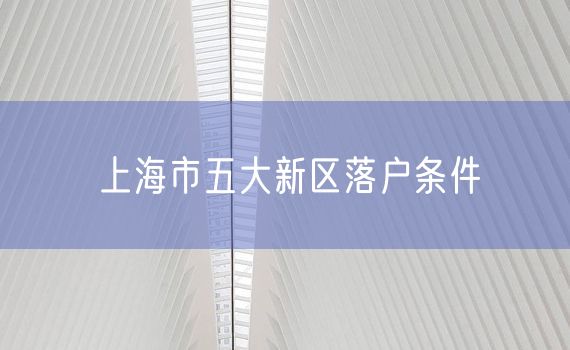 上海市五大新区落户条件