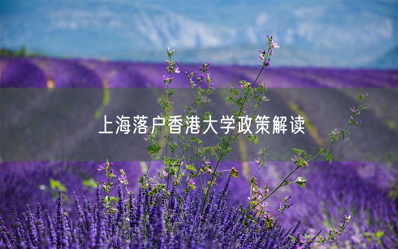上海落户香港大学政策解读