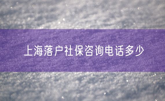 上海落户社保咨询电话多少