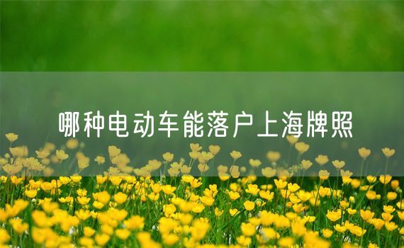 哪种电动车能落户上海牌照