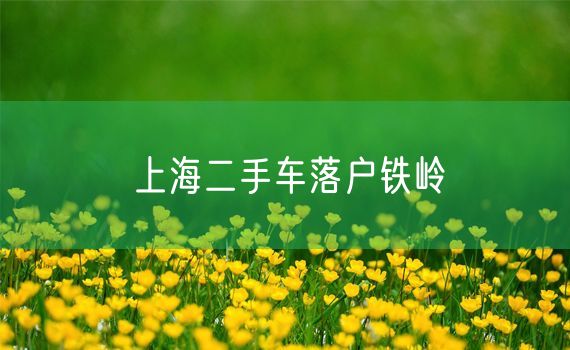 上海二手车落户铁岭