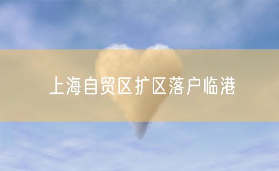 上海自贸区扩区落户临港