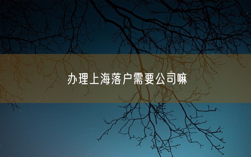 办理上海落户需要公司嘛